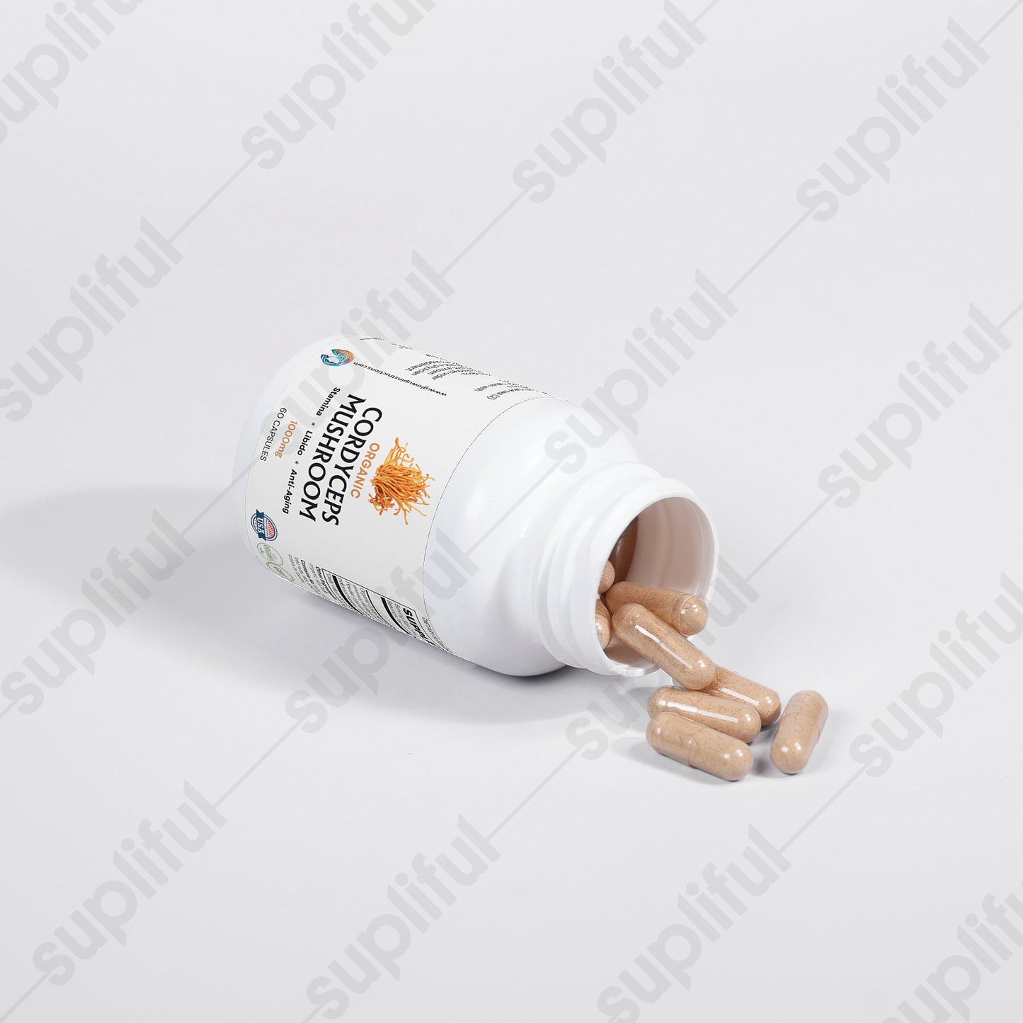 Cordyceps Mushroom